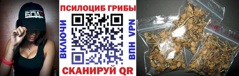 Псилоцибиновые грибы Psilocybe  Новотроицк 