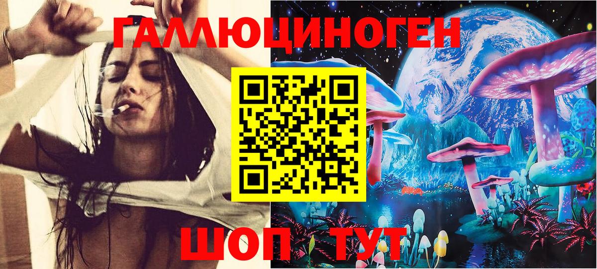 Псилоцибиновые грибы Cubensis Новотроицк