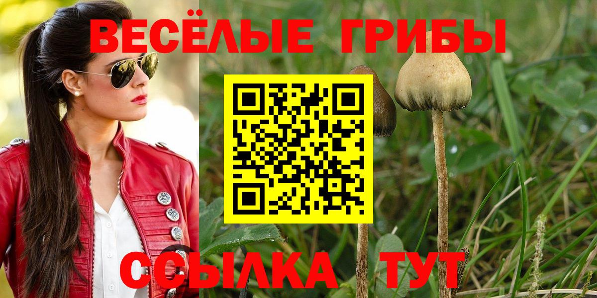 Псилоцибиновые грибы мухоморы  Вход с VPN  Новотроицк 