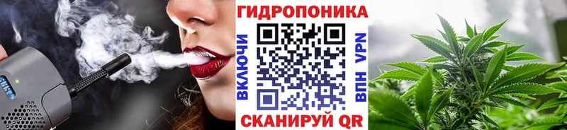 Канабис семена Новотроицк